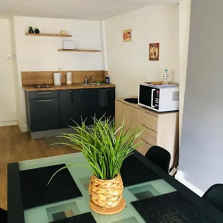 Appartement Le Petit Graoully *