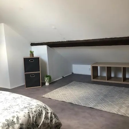 Le Petit Graoully Apartment *