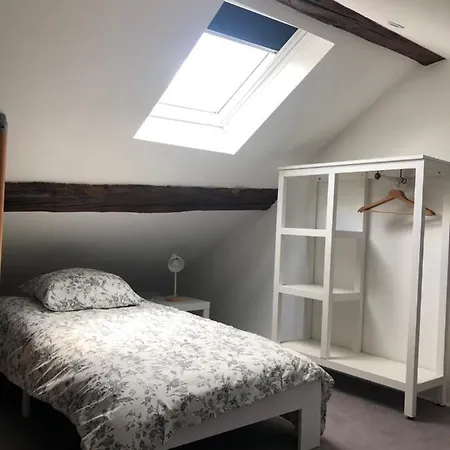 Appartement Le Petit Graoully Metz