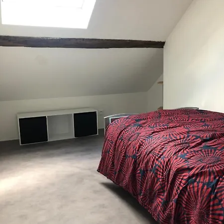 Appartement Le Petit Graoully Metz