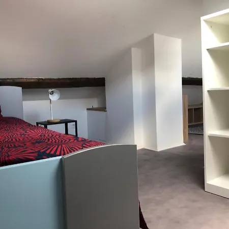 Le Petit Graoully Appartement Metz