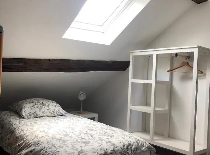 Apartment Le Petit Graoully Metz